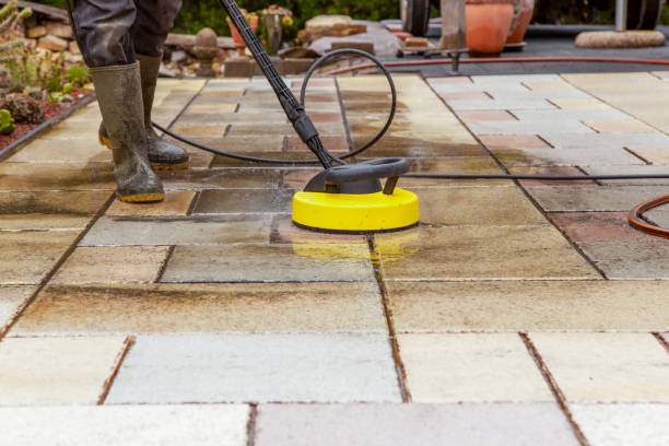 Best Solar Panel Cleaning  in Avilla, AR